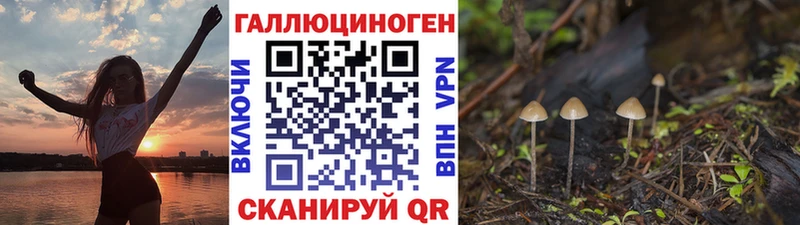 Галлюциногенные грибы GOLDEN TEACHER  купить наркотик  Кинель 