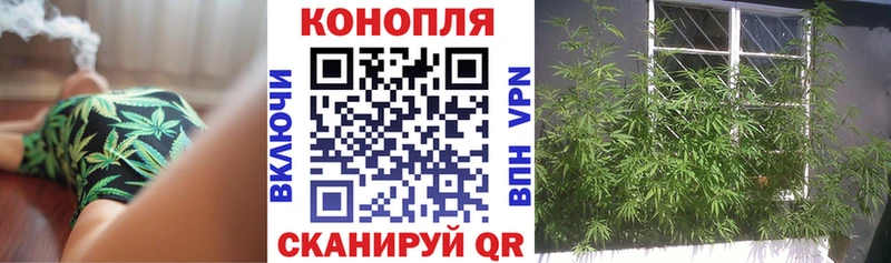 Шишки марихуана Bruce Banner  дарк нет телеграм  Кинель 